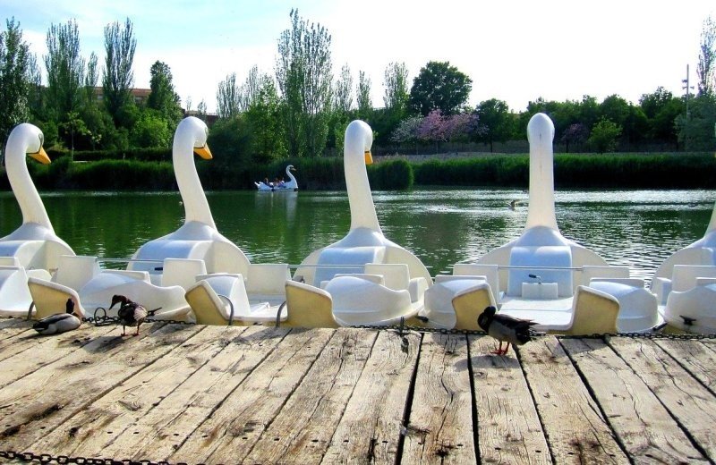 Koninginnehof Oostende